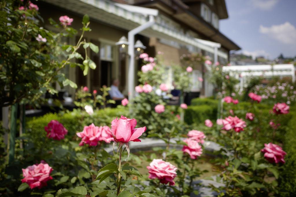 Landgasthof Hotel Roessli Ebikon Εξωτερικό φωτογραφία
